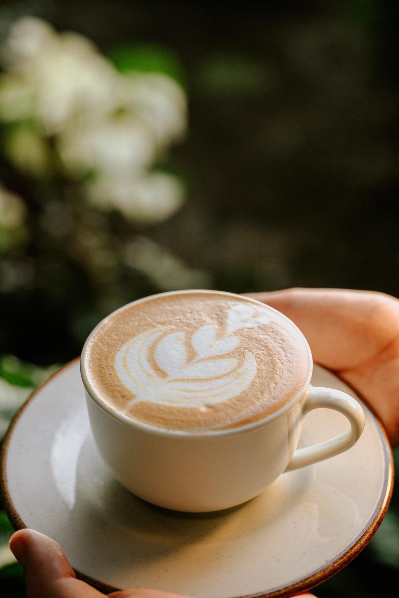 Bonding Coffee Roaster Cafe & Hotel Quepos Luaran gambar